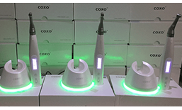 Tại sao Bác sĩ nên chọn Máy nội nha tích hợp Định vị chóp COXO CSMART MINI AP